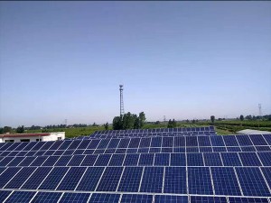 摩域企业职工文体健康活动中心管理系统