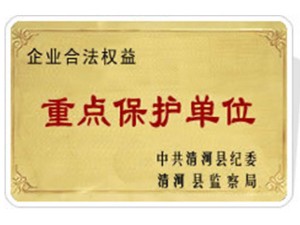 摩域全站标准网络访问地址与节点安全配置